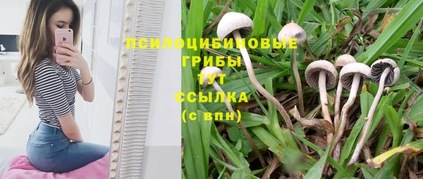 трава Алексин