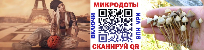 маркетплейс наркотические препараты  Невьянск  Псилоцибиновые грибы Cubensis  где купить наркотик 